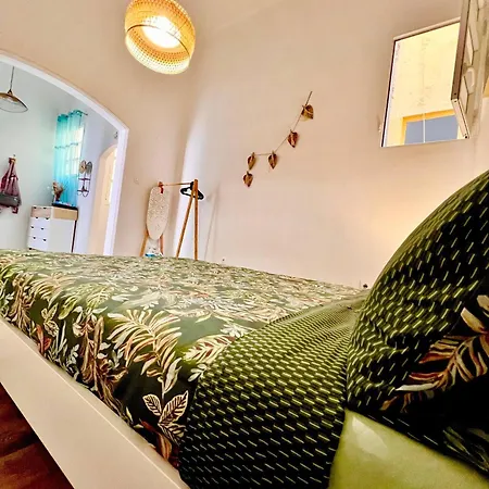 公寓 Cozy Refuge La Isleta