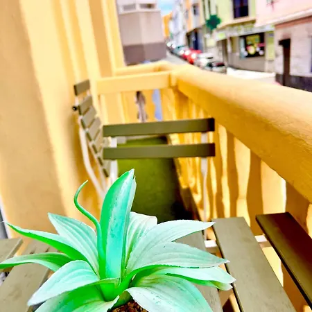 Cozy Refuge La Isleta * 大加那利岛拉斯帕尔马斯